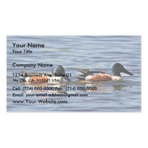 Northern Shoveler Drakes Business Card Templates