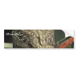 Northern Spotted Owl bumper stickers
