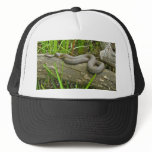 Northern Water Snake Basking on Log Multiple Items hats
