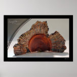 NORTHFORK SUNRISE POSTER