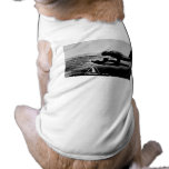 Northrop N3-PB Patrol Bomber - Vintage pet clothing