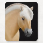 Norwegian Fjord Horse Mousepad
