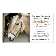 Norwegian Fjord Horse Veterinarian Vet Clinic Business Card