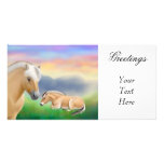 Norwegian Fjord Horses Photo Card photo cards