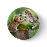 Norwegian Forest kittens Pinback Buttons