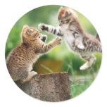 Norwegian Forest kittens stickers