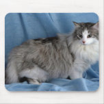Norwegian Forest, silver, tabby and white mousepads