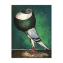 Norwich Cropper Blue Pied postcards