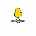Norwich Terrier Chick t-shirts