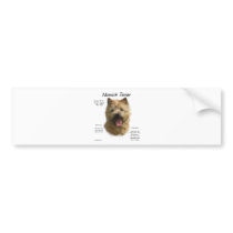 Norwich Terrier History Design