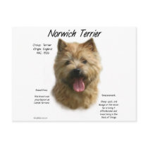 Norwich Terrier History Design