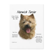 Norwich Terrier History Design