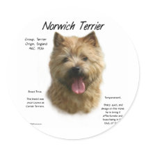 Norwich Terrier History Design