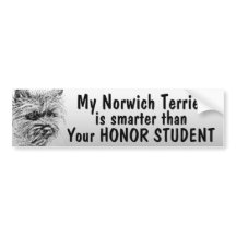 Funny Bumper Stickerstudent on Norwich T Shirts  Norwich Gifts  Artwork  Posters  And Other Products
