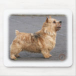Norwich Terrier mousepads