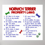 NORWICH TERRIER PL2 POSTER
