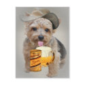 Norwich Terrier Shares A Beer postcards
