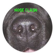 NOSE FLASH ROUND STICKER