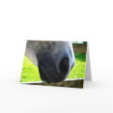 Nose job cards