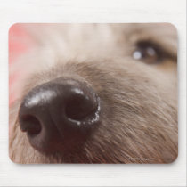 Nose of dog mousemat