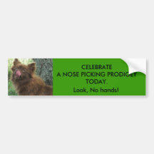 NOSE PICKING PRODIGEY BUMPER STICKER