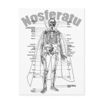 Nosferatu Post Card