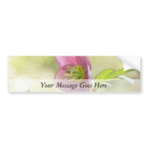 Nostalgic Hellebore Flower Art Bumper Stickers