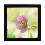 Nostalgic Hellebore Flower Art Jewelry Box