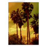 Nostalgic Palms Card