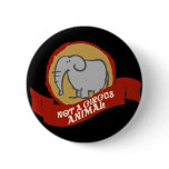 Not a circus animal buttons
