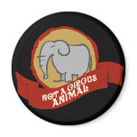 Not a circus animal magnets