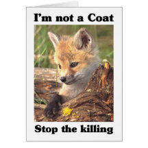 Not A Coat-Fox Cards