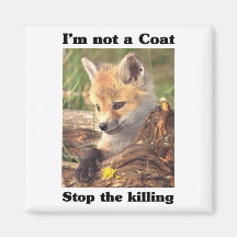 Not A Coat-Fox Magnet