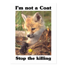 Not A Coat-Fox Post Cards