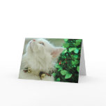 Not a creature was stirring.... greeting cards