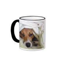 NOT a morning person. Mugs