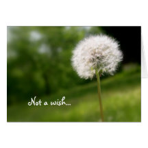 Not a Wish, Christian Birthday Card