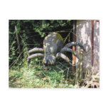 Not afraid of spiders.