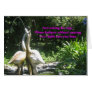 Not Asking For Sign Greeting Card