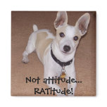 Not attitude... RATitude! Refrigerator Magnet