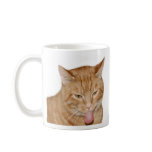 Not enough catnip coffee mug