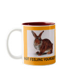 NOT FEELING YOURSELF???, GET WELL SOON mugs