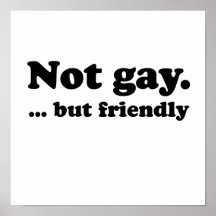 Not gay, but friendly .png poster