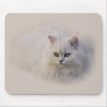 Not Just Any Kitten Mouse Pad