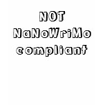 NOT NaNoWriMo compliant Shirt