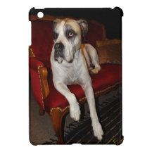 Not On This Couch Case For The iPad Mini