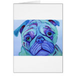 not smug pug cards