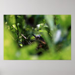 Not-So-Quiet Not-Quite-Solitude Print