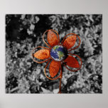 Not So Wall Flower