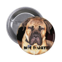 Not Today Pinback Button